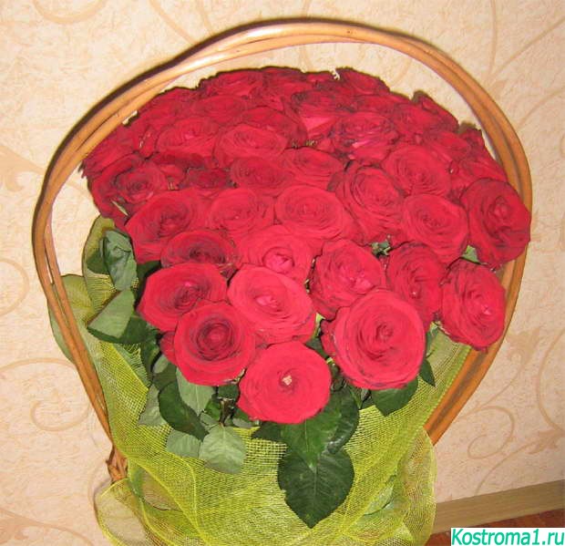 Фото большого букета из красных роз в корзине - сайты бесплатных знакомств без регистрации, город Кострома
