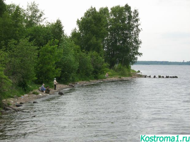 Фото г. Кострома. Слева от моста почти всегда можно увидеть Костромских рыбаков, с правой стороны моста территория располагает к отдыху на зеленой