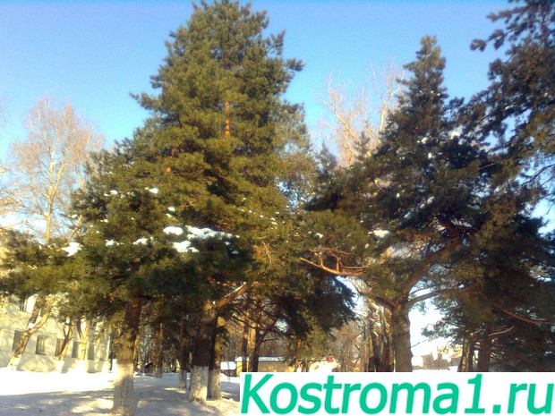 Достопримечательности Костромы улицы, памятники, центральная часть города с указанием достопримечательностей